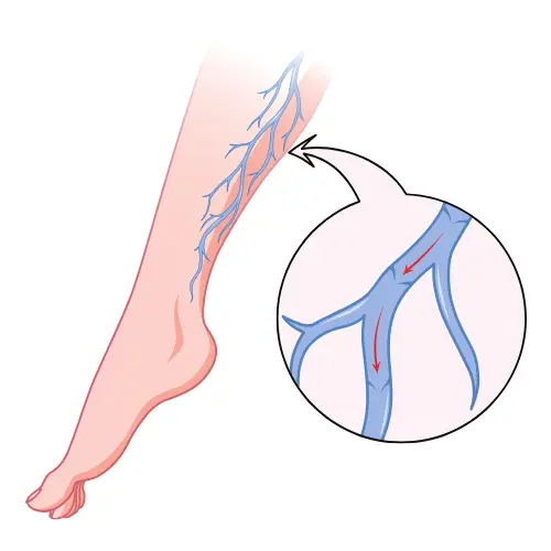 General Surgery Scientific Sessions